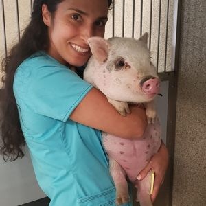 Meet your Posher, Darlene